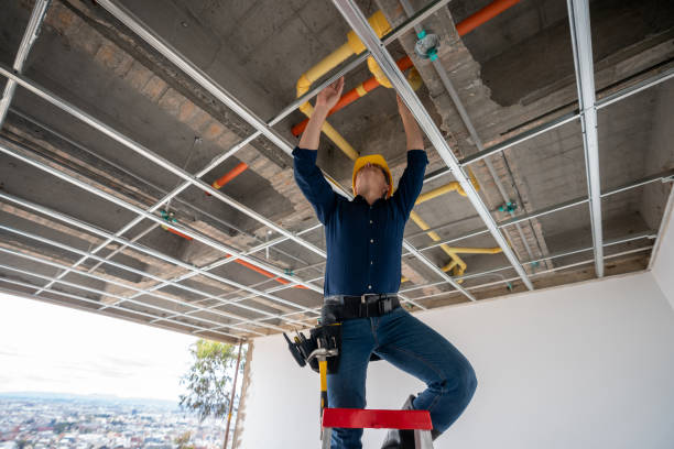 Best Plumbing Services Near Me  in Van Buren, MO